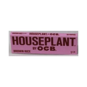 OCBHP114PAPER01 HOUSE PLANT
