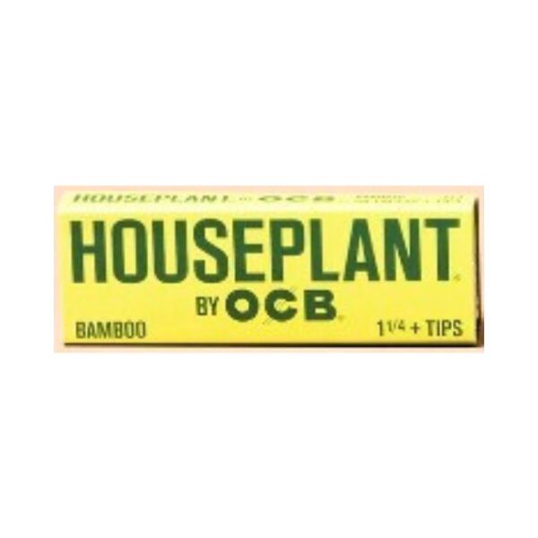 HOUSE PLANT