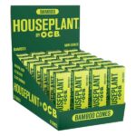 HOUSE PLANT