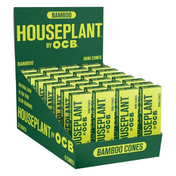 HOUSE PLANT