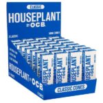 HOUSE PLANT