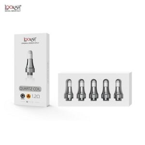 SEAHORSECOIL01 LOOKAH