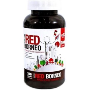 BB300B01_1 BUMBLE