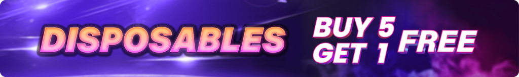 Dispo LANDING PAGE strip