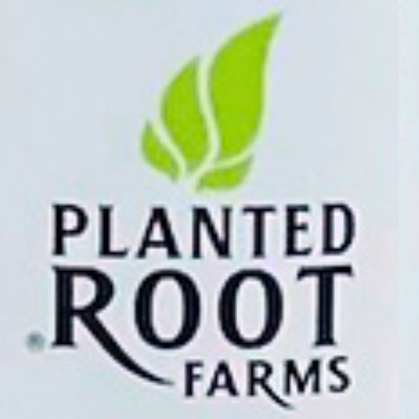 PLANTED ROOT CBD