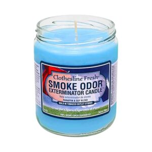 xr:d:DAGB506IiGQ:7,j:2961541060699377659,t:24040907 SMOKE ODOR EXTERMINATOR CANDLES 13OZ