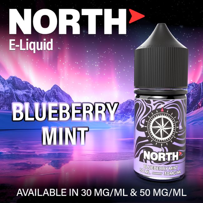 NORTH JUICE SALT E LIQUID 30ML BOTTLE - Image 3