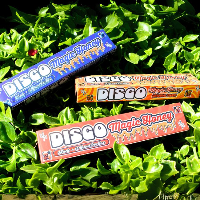 DISCO MAGIC MUSHROOM BLEND 15GM 3CT HONEY 6PK/ BOX - Image 4