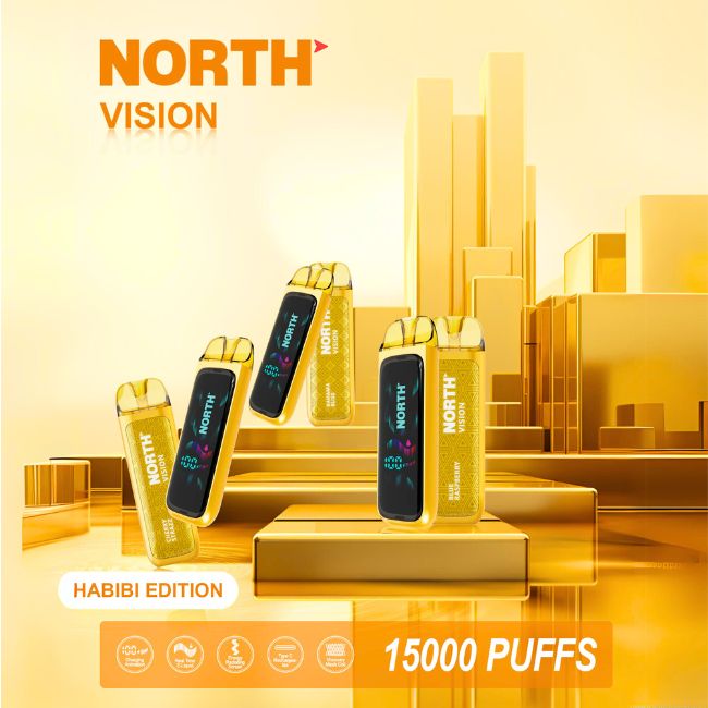 NORTH VISION