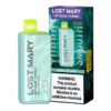 LOST MARY
