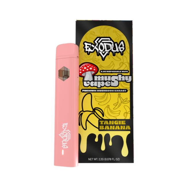 EXODUS MUSHY VAPE PREMIUM MUSHROOM EXTRACT 2.2GM DISPO 6CT/ BOX - Image 11