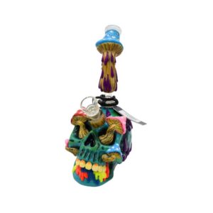 HD339 11'' PHOENIXSTAR GLASS SKULL DESIGN WATER PIPE