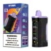 VASTA VS55000 5% DISPOSABLE (100ML) 55K PUFFS 5CT/ BOX - ICY GRAPE