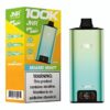 JNR BIG MAC 5% DISPOSABLE (100ML) 100K PUFFS 5CT/ BOX - MIAMI MINT