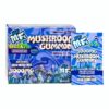LIL' MFS MUSHROOM MEGA HEROIC DOSE 5000MG GUMMIES 2CT/20PK DISPLAY