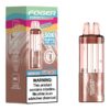 FOGER SWITCH PRO 5% DISPOSABLE POD (95ML) 30K PUFFS 5CT/ BOX