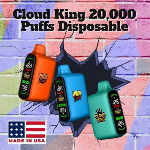 CLOUD KING 5% DISPOSABLE (160ML) 20K PUFFS 10CT/ BOX (MADE IN USA)